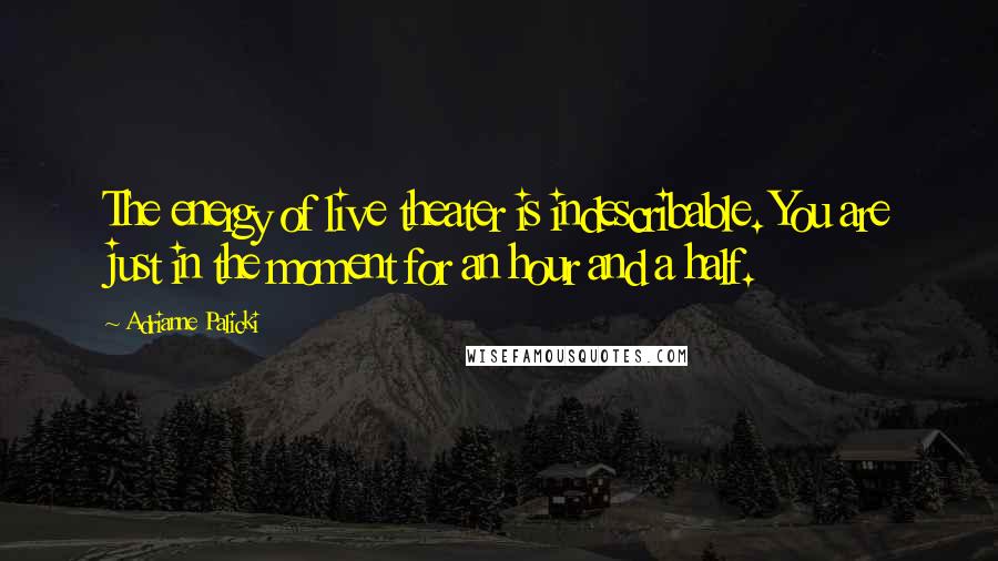 Adrianne Palicki Quotes: The energy of live theater is indescribable. You are just in the moment for an hour and a half.