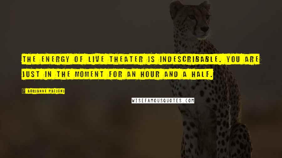 Adrianne Palicki Quotes: The energy of live theater is indescribable. You are just in the moment for an hour and a half.