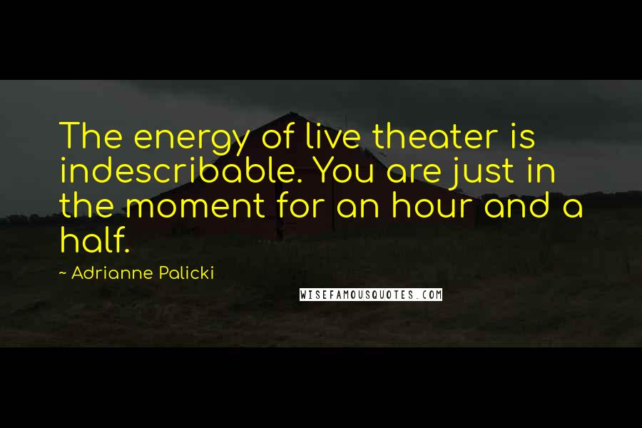 Adrianne Palicki Quotes: The energy of live theater is indescribable. You are just in the moment for an hour and a half.