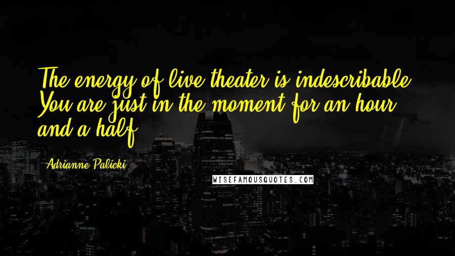 Adrianne Palicki Quotes: The energy of live theater is indescribable. You are just in the moment for an hour and a half.