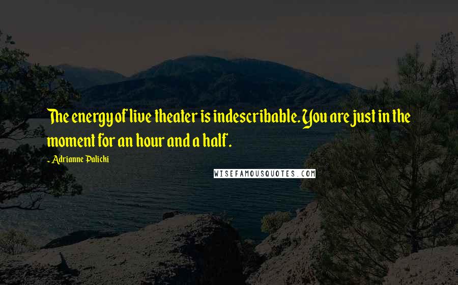 Adrianne Palicki Quotes: The energy of live theater is indescribable. You are just in the moment for an hour and a half.