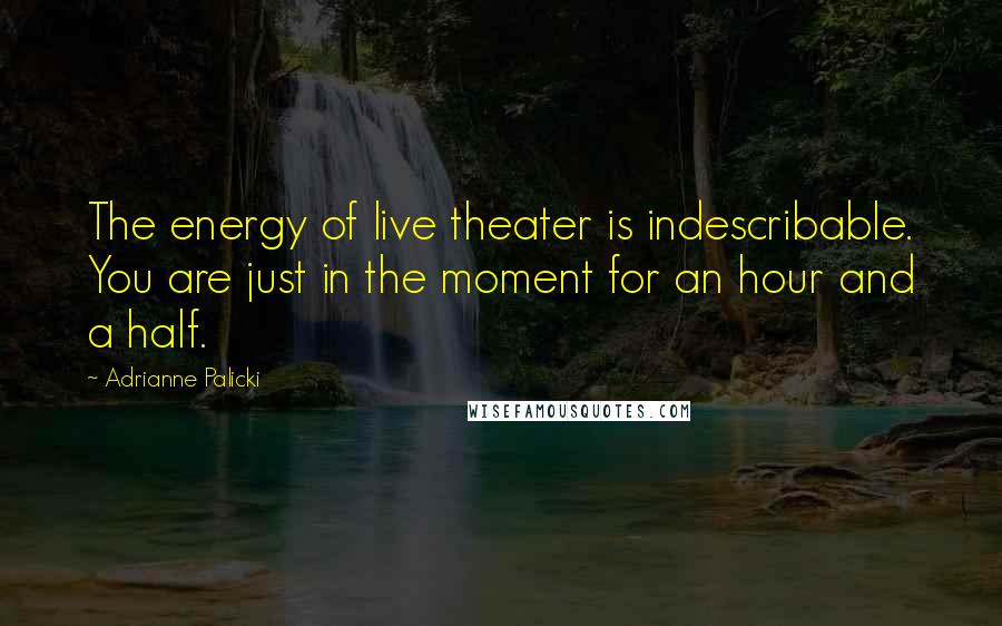 Adrianne Palicki Quotes: The energy of live theater is indescribable. You are just in the moment for an hour and a half.