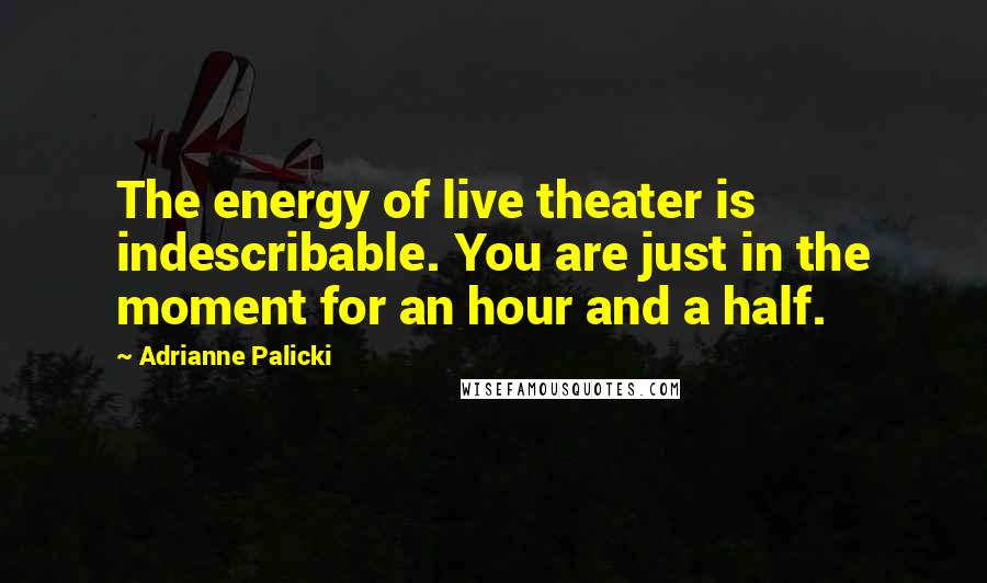 Adrianne Palicki Quotes: The energy of live theater is indescribable. You are just in the moment for an hour and a half.