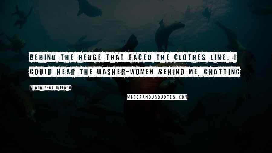 Adrienne Dillard Quotes: behind the hedge that faced the clothes line. I could hear the washer-women behind me, chatting