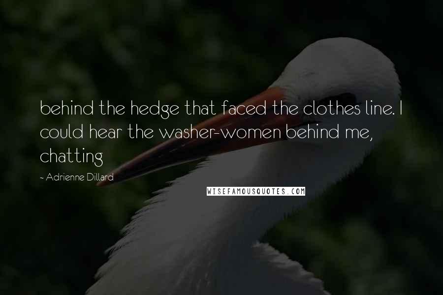 Adrienne Dillard Quotes: behind the hedge that faced the clothes line. I could hear the washer-women behind me, chatting
