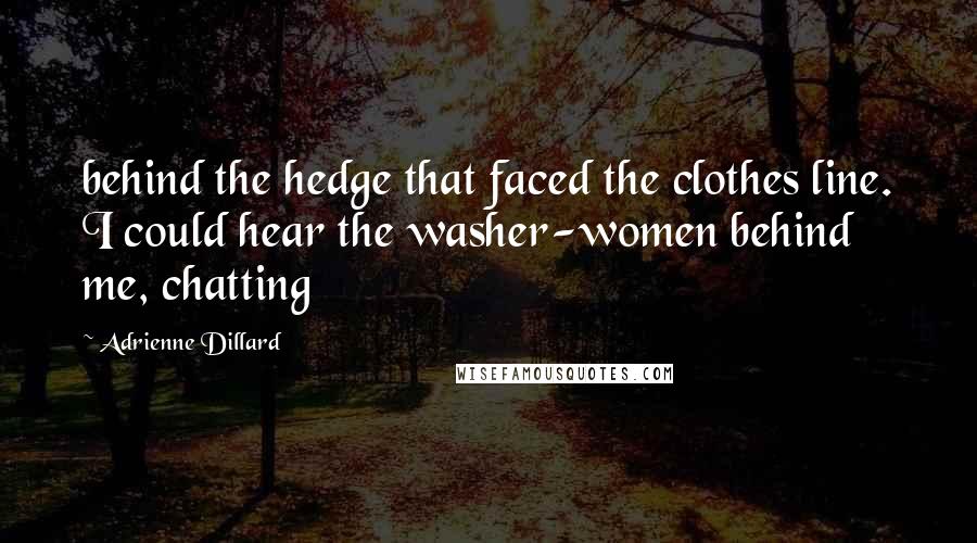 Adrienne Dillard Quotes: behind the hedge that faced the clothes line. I could hear the washer-women behind me, chatting