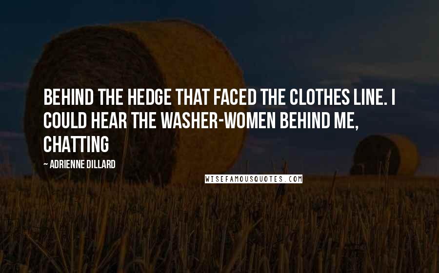 Adrienne Dillard Quotes: behind the hedge that faced the clothes line. I could hear the washer-women behind me, chatting