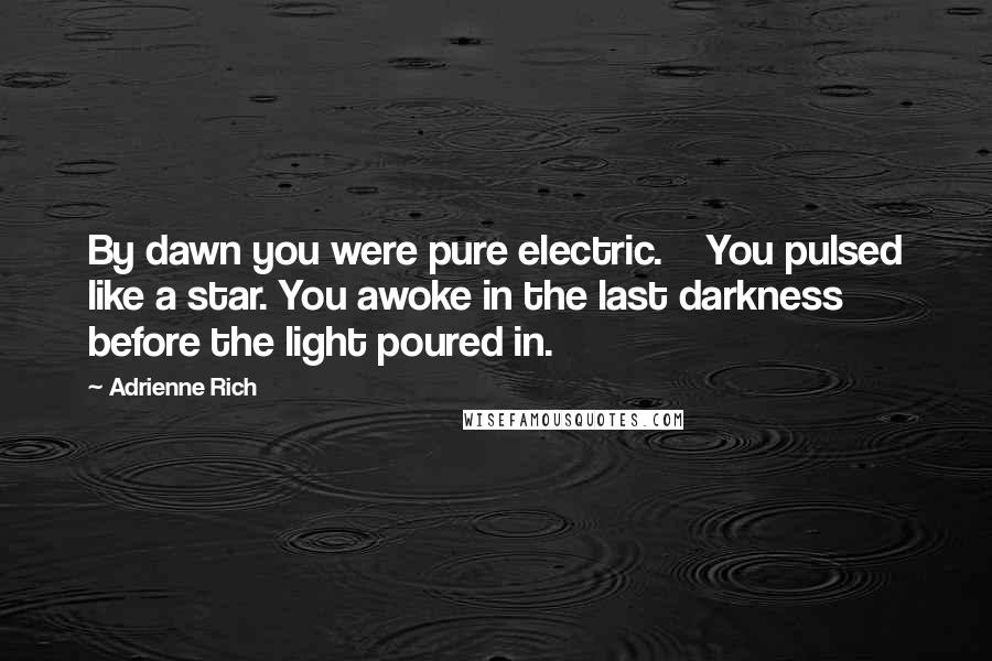 Adrienne Rich Quotes: By dawn you were pure electric. You pulsed like a star. You awoke in the last darkness before the light poured in.