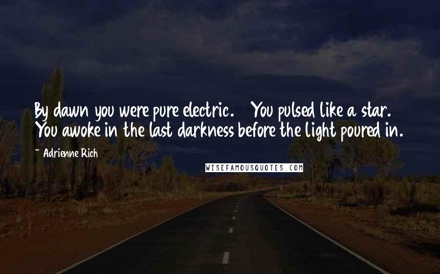 Adrienne Rich Quotes: By dawn you were pure electric.    You pulsed like a star. You awoke in the last darkness before the light poured in.