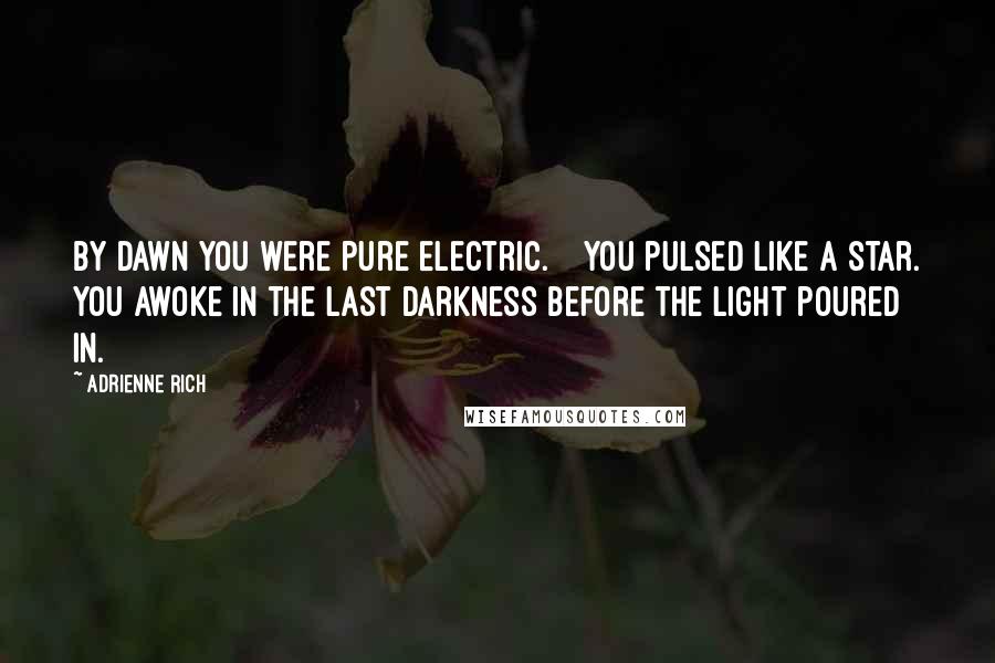 Adrienne Rich Quotes: By dawn you were pure electric. You pulsed like a star. You awoke in the last darkness before the light poured in.