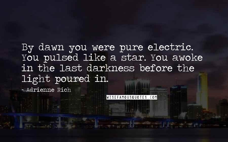 Adrienne Rich Quotes: By dawn you were pure electric.    You pulsed like a star. You awoke in the last darkness before the light poured in.