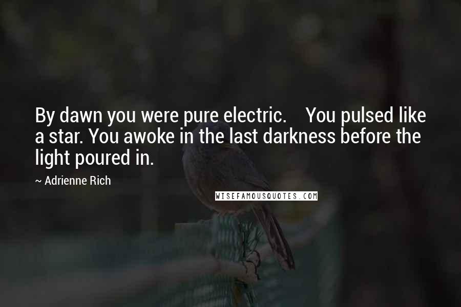 Adrienne Rich Quotes: By dawn you were pure electric. You pulsed like a star. You awoke in the last darkness before the light poured in.