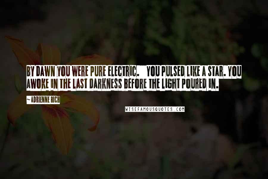 Adrienne Rich Quotes: By dawn you were pure electric. You pulsed like a star. You awoke in the last darkness before the light poured in.
