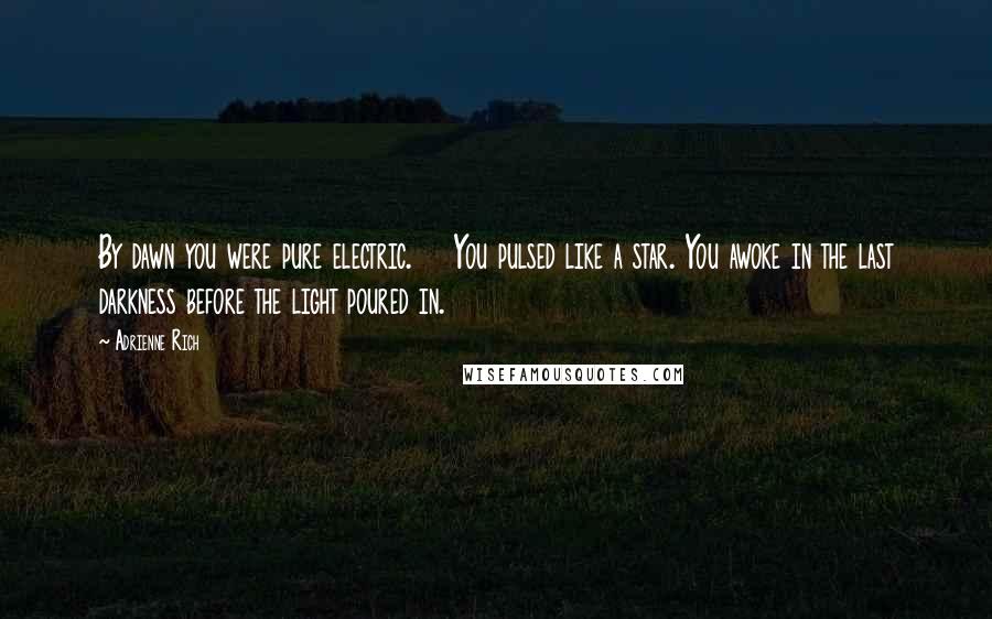 Adrienne Rich Quotes: By dawn you were pure electric.    You pulsed like a star. You awoke in the last darkness before the light poured in.