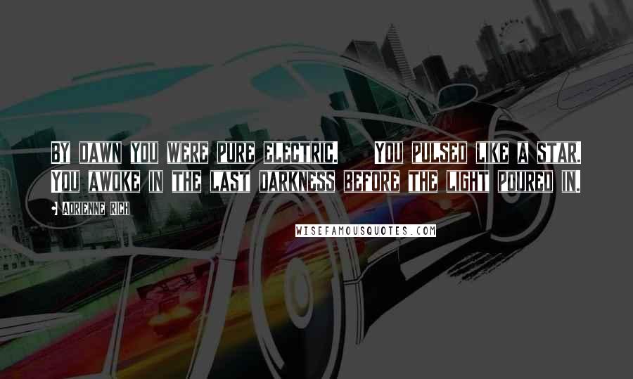Adrienne Rich Quotes: By dawn you were pure electric. You pulsed like a star. You awoke in the last darkness before the light poured in.