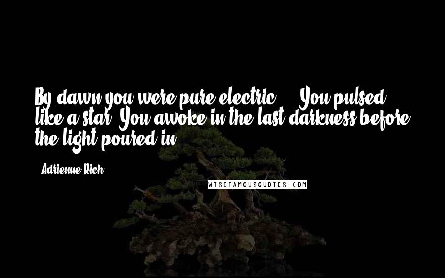 Adrienne Rich Quotes: By dawn you were pure electric. You pulsed like a star. You awoke in the last darkness before the light poured in.