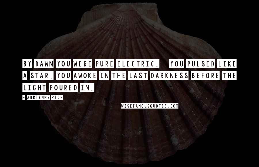 Adrienne Rich Quotes: By dawn you were pure electric. You pulsed like a star. You awoke in the last darkness before the light poured in.