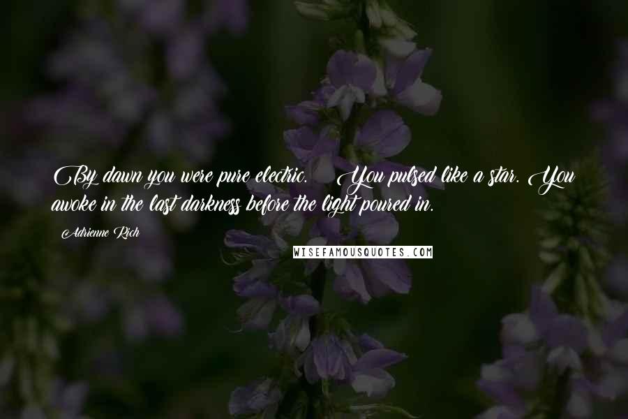 Adrienne Rich Quotes: By dawn you were pure electric.    You pulsed like a star. You awoke in the last darkness before the light poured in.