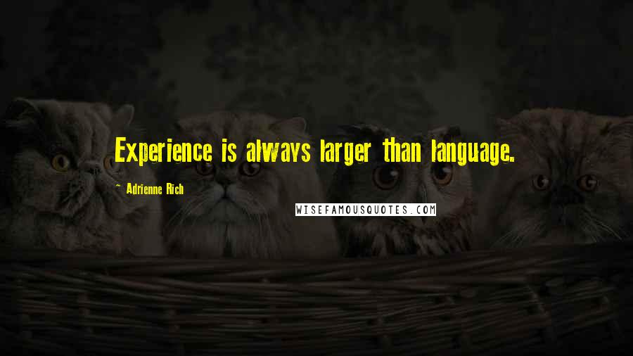 Adrienne Rich Quotes: Experience is always larger than language.