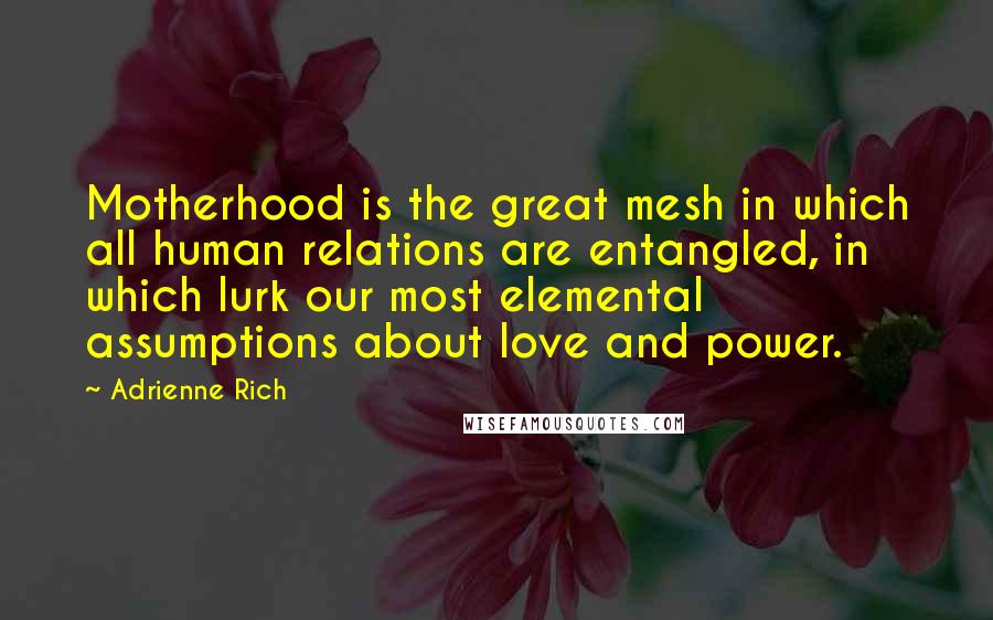 Adrienne Rich Quotes: Motherhood is the great mesh in which all human relations are entangled, in which lurk our most elemental assumptions about love and power.