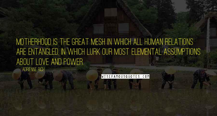 Adrienne Rich Quotes: Motherhood is the great mesh in which all human relations are entangled, in which lurk our most elemental assumptions about love and power.