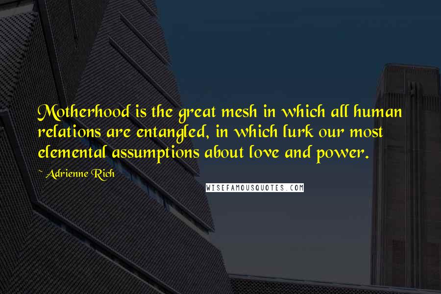 Adrienne Rich Quotes: Motherhood is the great mesh in which all human relations are entangled, in which lurk our most elemental assumptions about love and power.