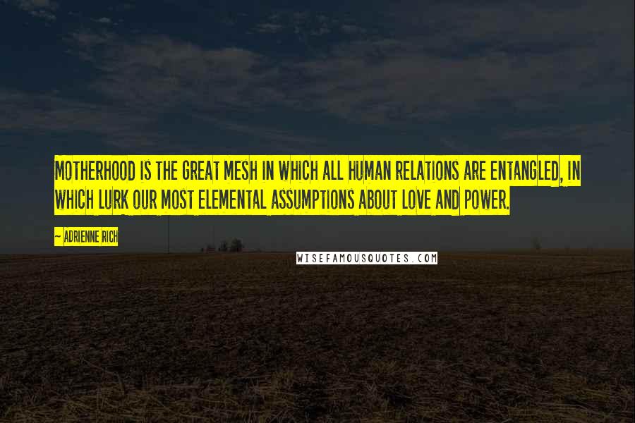 Adrienne Rich Quotes: Motherhood is the great mesh in which all human relations are entangled, in which lurk our most elemental assumptions about love and power.