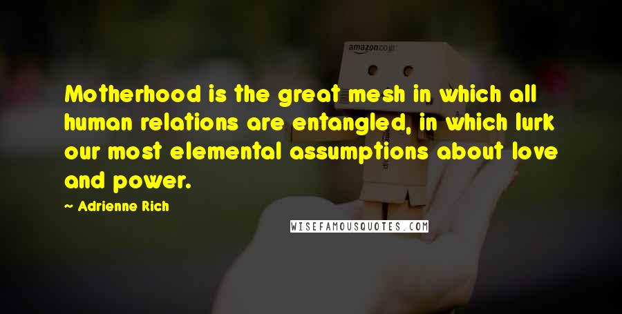 Adrienne Rich Quotes: Motherhood is the great mesh in which all human relations are entangled, in which lurk our most elemental assumptions about love and power.