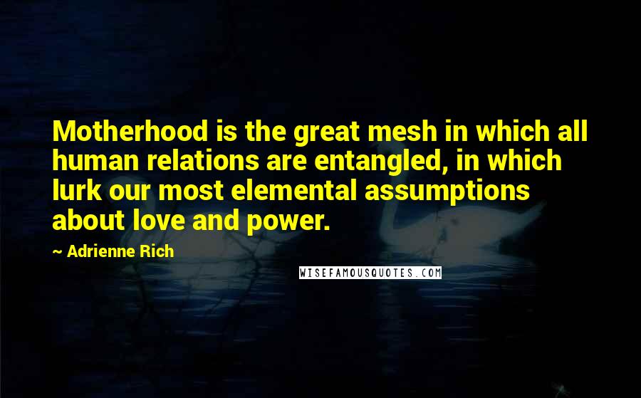Adrienne Rich Quotes: Motherhood is the great mesh in which all human relations are entangled, in which lurk our most elemental assumptions about love and power.