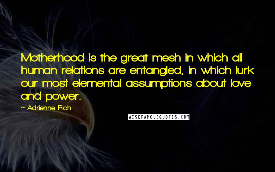 Adrienne Rich Quotes: Motherhood is the great mesh in which all human relations are entangled, in which lurk our most elemental assumptions about love and power.