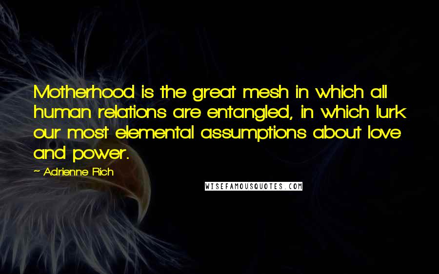 Adrienne Rich Quotes: Motherhood is the great mesh in which all human relations are entangled, in which lurk our most elemental assumptions about love and power.