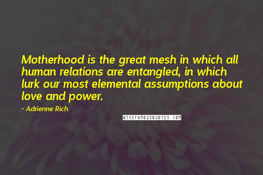Adrienne Rich Quotes: Motherhood is the great mesh in which all human relations are entangled, in which lurk our most elemental assumptions about love and power.