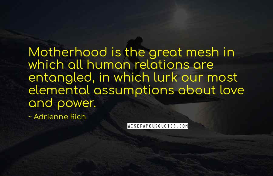 Adrienne Rich Quotes: Motherhood is the great mesh in which all human relations are entangled, in which lurk our most elemental assumptions about love and power.