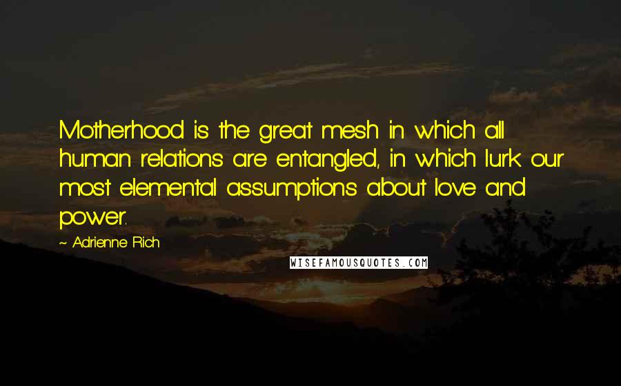 Adrienne Rich Quotes: Motherhood is the great mesh in which all human relations are entangled, in which lurk our most elemental assumptions about love and power.