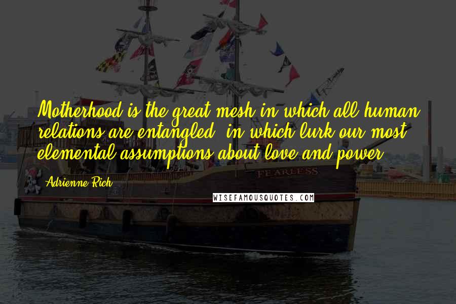 Adrienne Rich Quotes: Motherhood is the great mesh in which all human relations are entangled, in which lurk our most elemental assumptions about love and power.