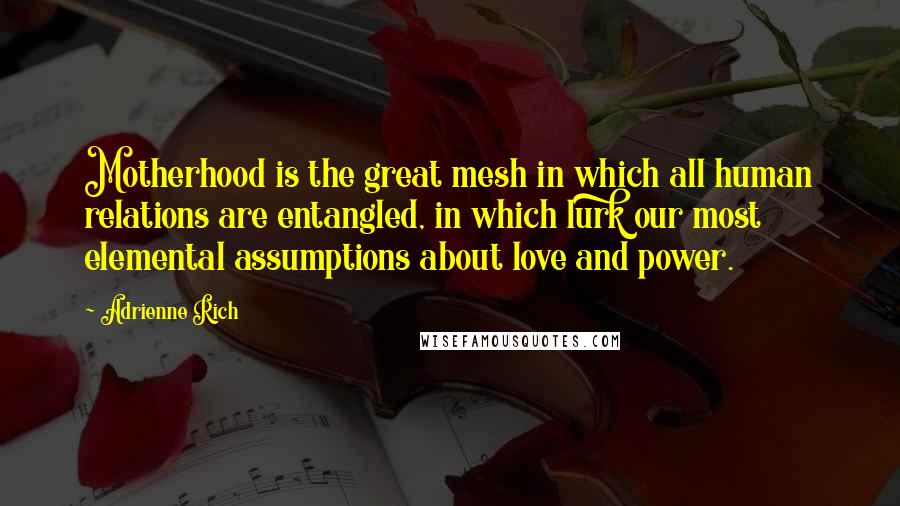 Adrienne Rich Quotes: Motherhood is the great mesh in which all human relations are entangled, in which lurk our most elemental assumptions about love and power.