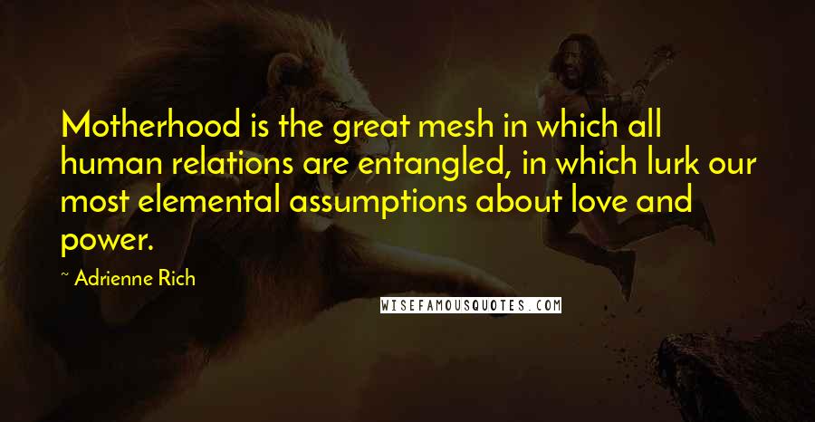 Adrienne Rich Quotes: Motherhood is the great mesh in which all human relations are entangled, in which lurk our most elemental assumptions about love and power.