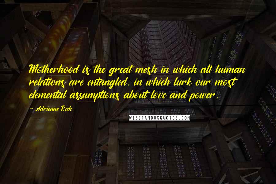 Adrienne Rich Quotes: Motherhood is the great mesh in which all human relations are entangled, in which lurk our most elemental assumptions about love and power.