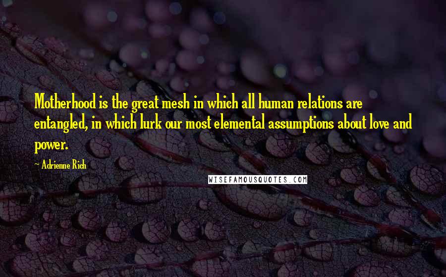 Adrienne Rich Quotes: Motherhood is the great mesh in which all human relations are entangled, in which lurk our most elemental assumptions about love and power.