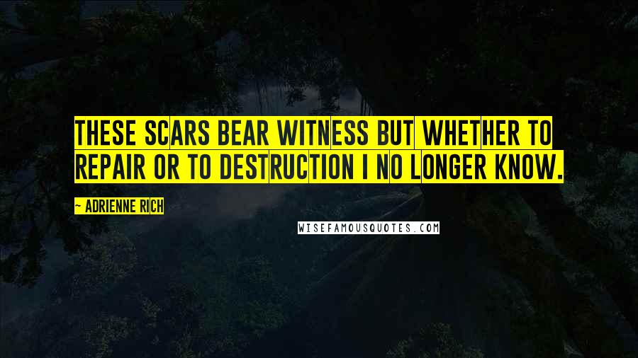 Adrienne Rich Quotes: These scars bear witness but whether to repair or to destruction I no longer know.