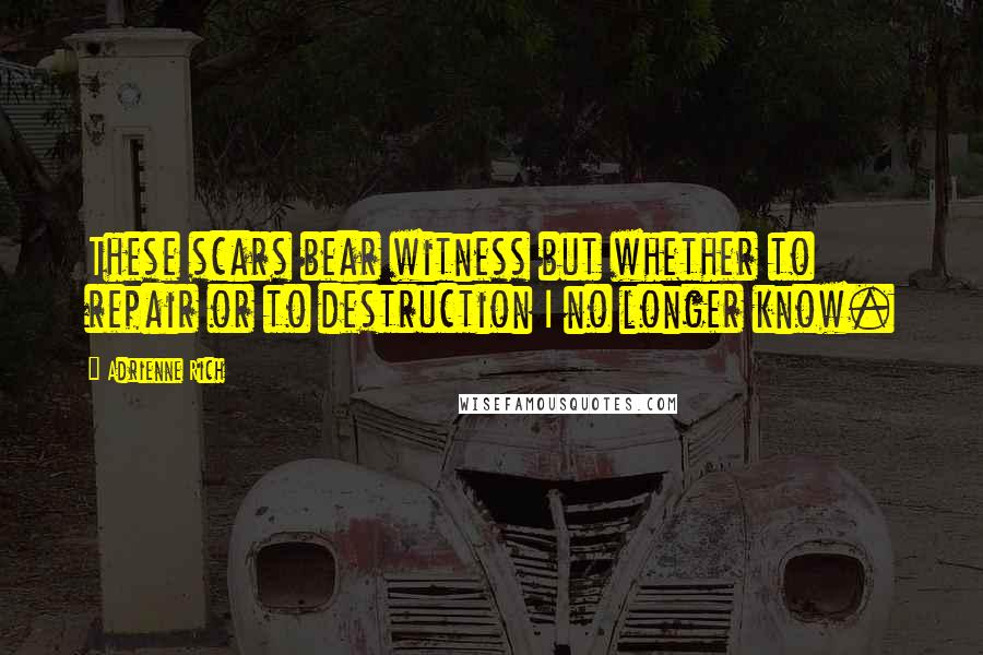 Adrienne Rich Quotes: These scars bear witness but whether to repair or to destruction I no longer know.