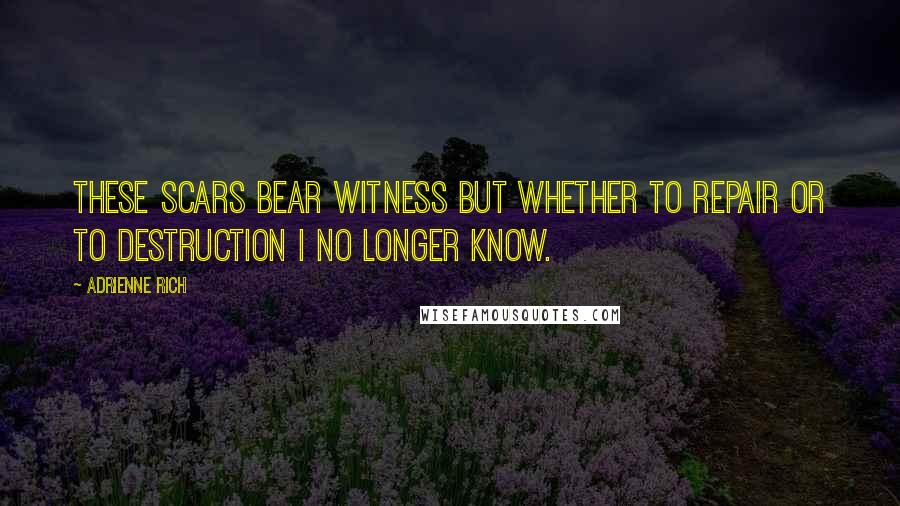 Adrienne Rich Quotes: These scars bear witness but whether to repair or to destruction I no longer know.