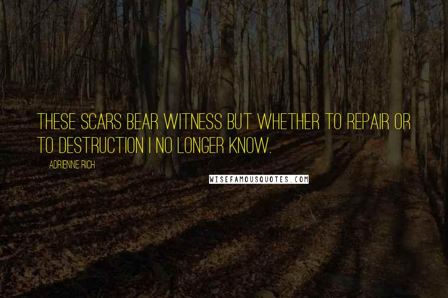 Adrienne Rich Quotes: These scars bear witness but whether to repair or to destruction I no longer know.