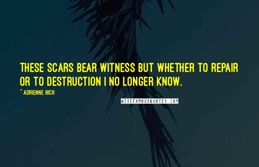 Adrienne Rich Quotes: These scars bear witness but whether to repair or to destruction I no longer know.