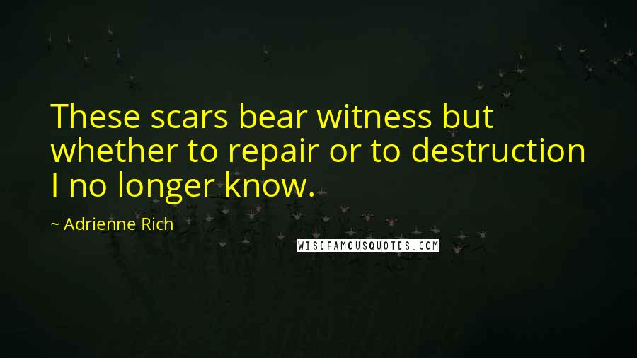 Adrienne Rich Quotes: These scars bear witness but whether to repair or to destruction I no longer know.