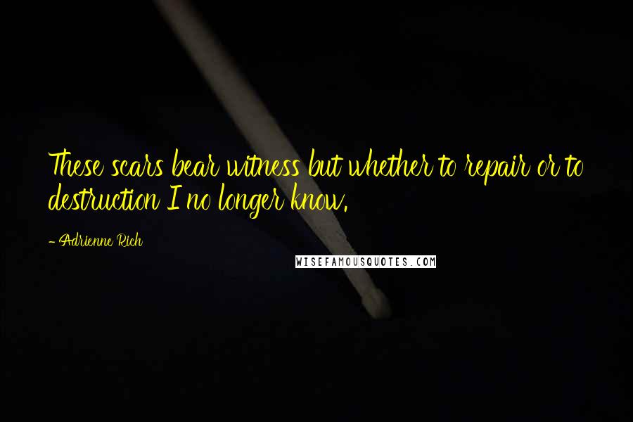 Adrienne Rich Quotes: These scars bear witness but whether to repair or to destruction I no longer know.