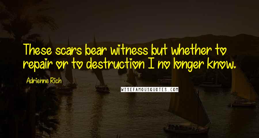 Adrienne Rich Quotes: These scars bear witness but whether to repair or to destruction I no longer know.