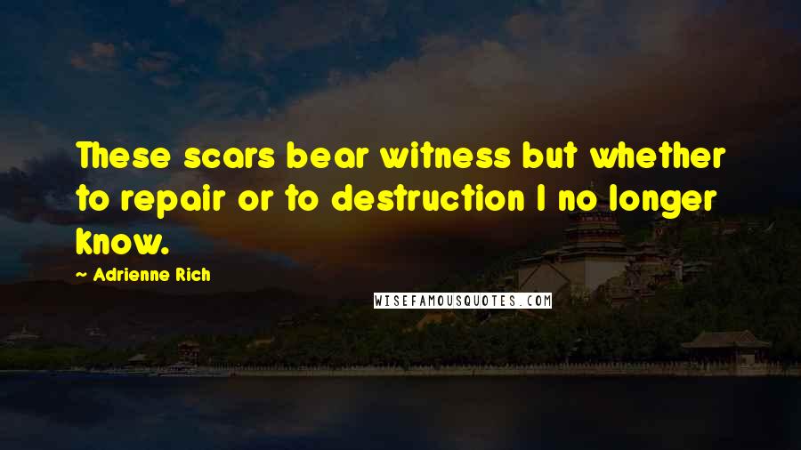 Adrienne Rich Quotes: These scars bear witness but whether to repair or to destruction I no longer know.