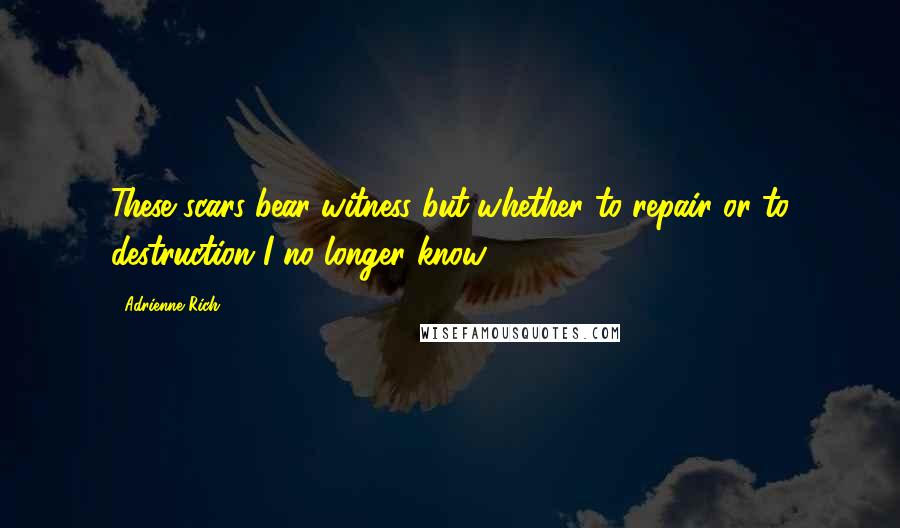 Adrienne Rich Quotes: These scars bear witness but whether to repair or to destruction I no longer know.