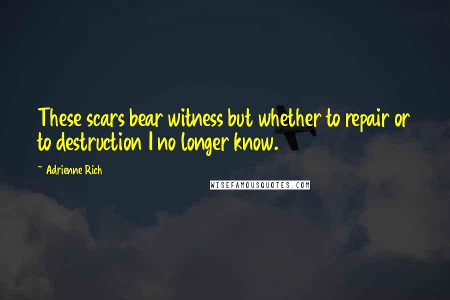 Adrienne Rich Quotes: These scars bear witness but whether to repair or to destruction I no longer know.